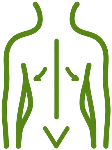 Kati Basti Icon